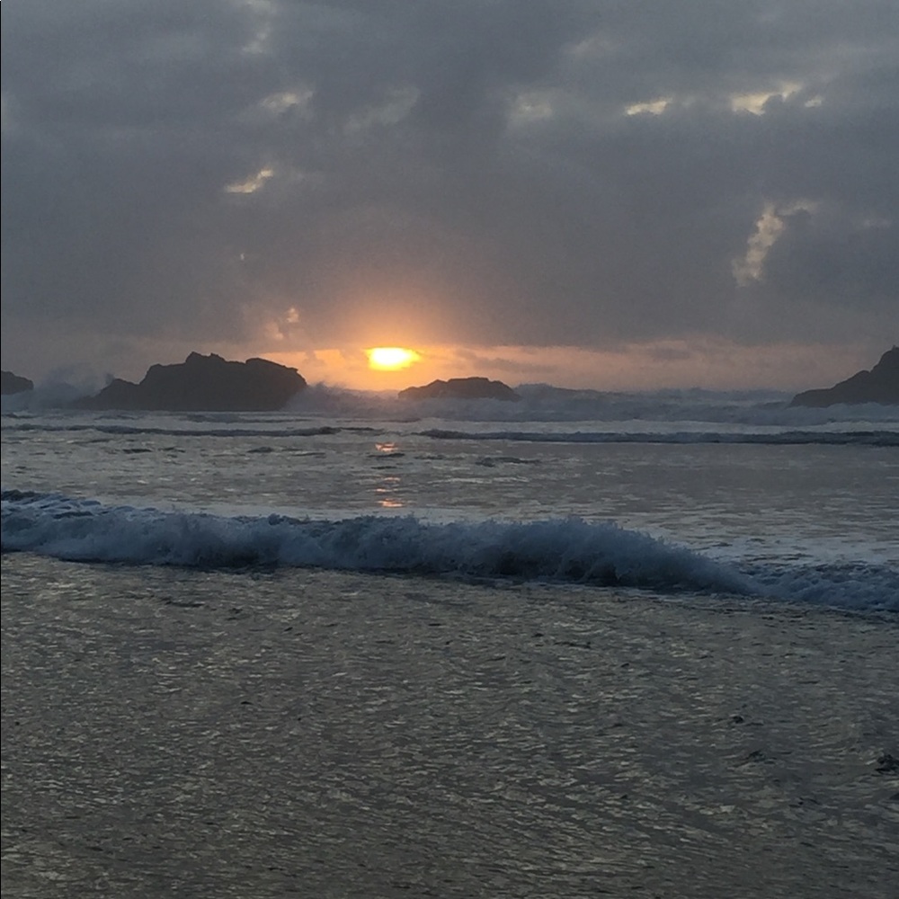 Meet your Posher, Sammy